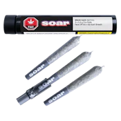 BRAIN CAKE PR 3X0.5G