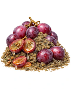 Dab Bods - Dab Bods Grape Soda Pop 10g Milled Flower