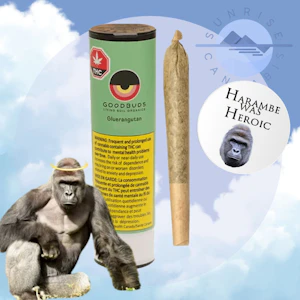 Good Buds - GLUERANGUTAN - GOODBUDS - 1X1G