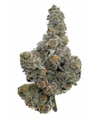 Amani Craft Gastro Pop 7g