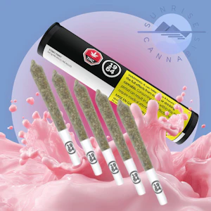 1964 - STINKY PINKY - BC ORGANIC - 1964 - 5X0.5G