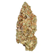 Ripped Sativa | 3.5g