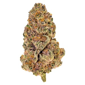 Pure Sunfarms - Purple Fog | 3.5g