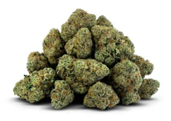 BC OZ | JADE NOIR - 28