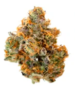 HAWAIIAN PINEAPPLE 14g