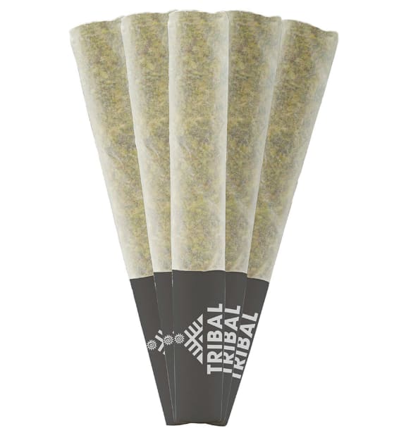 Gran Turismo Pre-Rolls | 5x0.5g