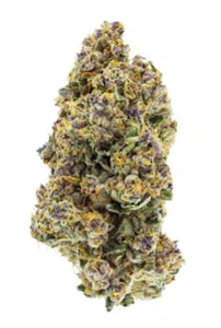 Sweetgrass Cannabis - SWEETGRASS | TRIANGLE QUEEN PETITES 3.5g