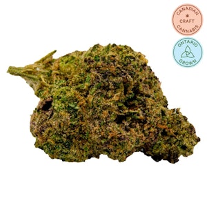 Unit 15 - Black Cherry Soda 7g