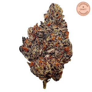 HighXotic - Batch 007 7g