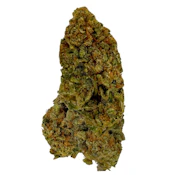 RAINBOW WARRIOR - 7G