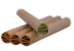 EL CHAPO 3X0.5g PRE ROLLS