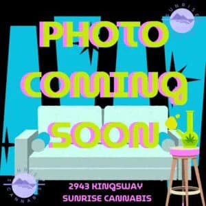 General Admission - PURPLE STUFF DIAMOND INF - GENERAL ADMISSION - 5X0.5G