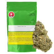 Papaya Power 28g Dried Flower