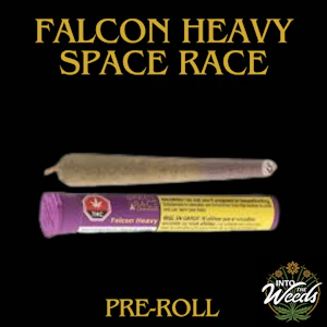 Space Race - Falcon Heavy - 1 x 1g