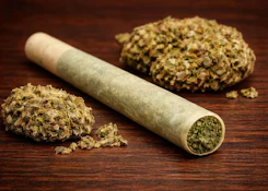 MARSHMALLOW OG | 1 x 1g