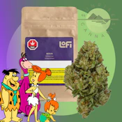 NOSTALGIA INFUSED HEMP - LOFI - 7G