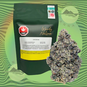 Woody Nelson - 33 SPLITTER - WOODY NELSON - 14G