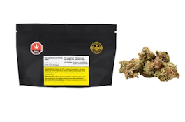 Organic Mint Chocolate Chip Premium 14G