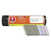 Orange RNTZ Pre-Rolls 7 x 0.5g