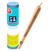 Chatty Kathy Singles Pre-Rolls 1 x 1g