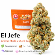 El Jefe(Animal Mints x Sherb Cake) 7g Flower