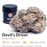 Devil's Driver - (Sundae Driver x Melonade)  3.5g Flower