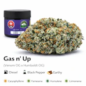 Gas n' Up(Venom OG x Humboldt OG) 14g Flower