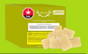 Real Fruit Pear THC:CBG 1:1 Gummies - 10pk