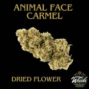 Animal Face - 7g