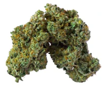 ISLAND GENETICS | LIME HEADS - 7g