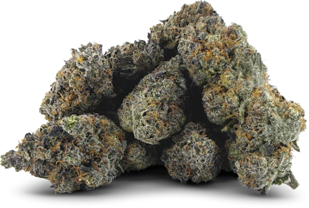 DEALR - Krypto Kandy 28g