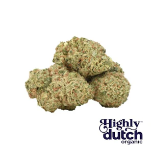 Highly Dutch Organic - ORGANIC DURBAN GORILLA - 28
