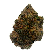 Potluck - Beaver Tail 7g - Dried Flower
