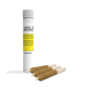 General Admission - Peach Ringz Distillate Infused Pre-Roll - 3x0.5G