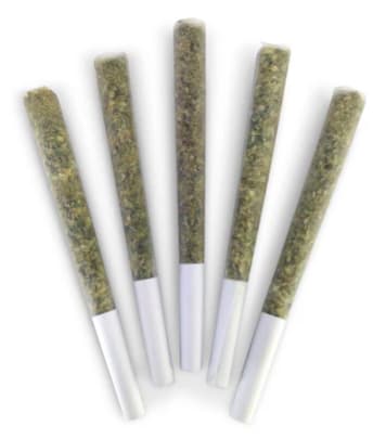 10 x 0.5g La Chancla Pre-Rolls