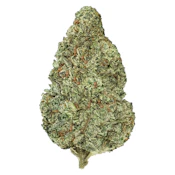 Back Forty - Chemzilla - Indica - 28g