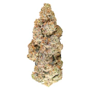 BLKMKT - Zoy Sauce - Indica - 7g