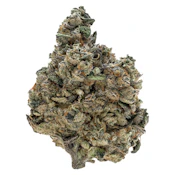 Tribal - Gran Turismo - Indica - 3.5g