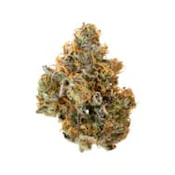 Hawaiian Pineapple - 14g