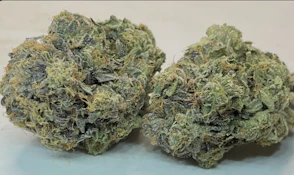 Fort 20 Farms - El Chapo OG Smalls (28g)