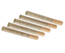 Fort 20 Farms - BC Chemo OG (5x0.5g)