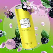 BLACKBERRY LIME THC+CBG - JUST SELTZER LITE