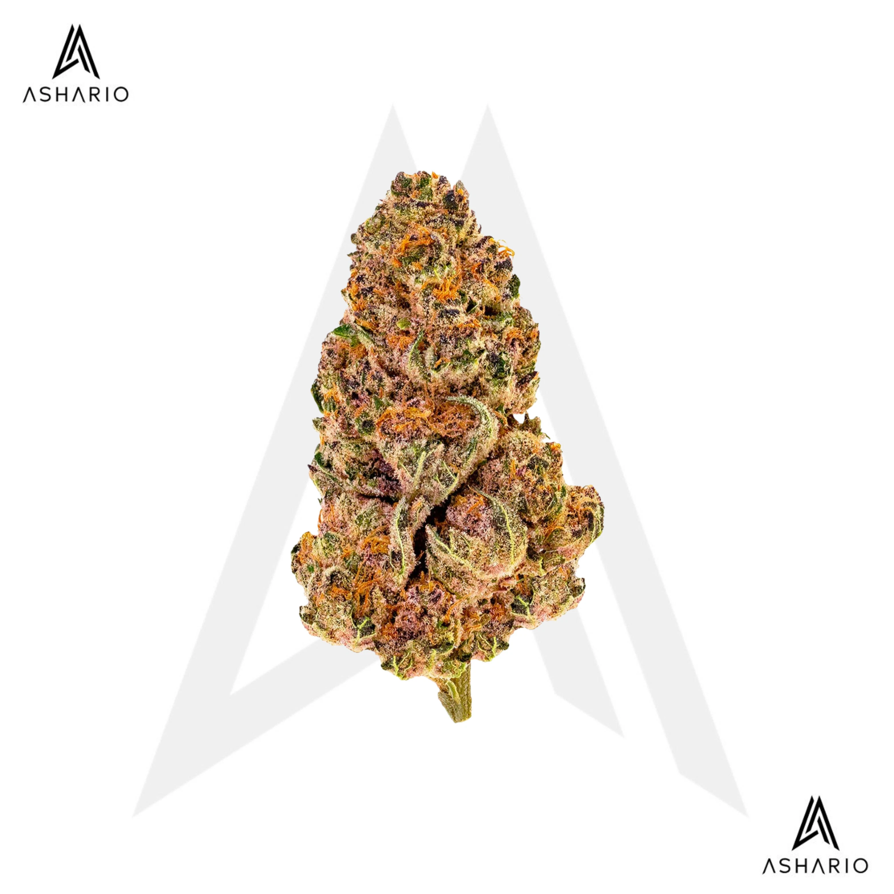 PURE SUNFARMS - Purple Fog | 28g Main Image