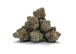 BC 1/4 OZ | Whiplash | 7 g