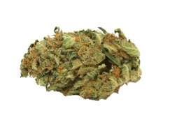 Jack Herer 14g (Always Hi)