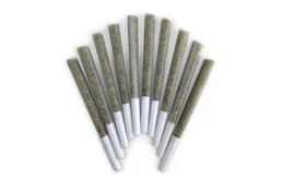 La Chancla 10pk JOINTS