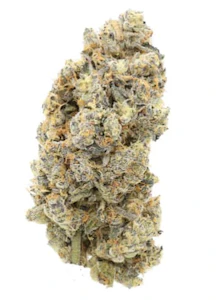 Sitka Legends - Sitka Legends Platinum Pop Rocks 7g