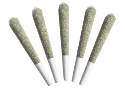 Primo BC Sungrown - ORIGINAL GROWERS WHITE WIDOW | 5 x 0.5g