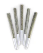 FRENCH BEIGNET PRE-ROLLS - 5 x 0.5g