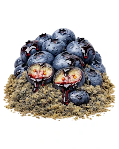 DAB BODS - Blue Magoo 2g Resin Infused Milled Flower